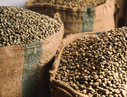 Intermediate and Processed Foods